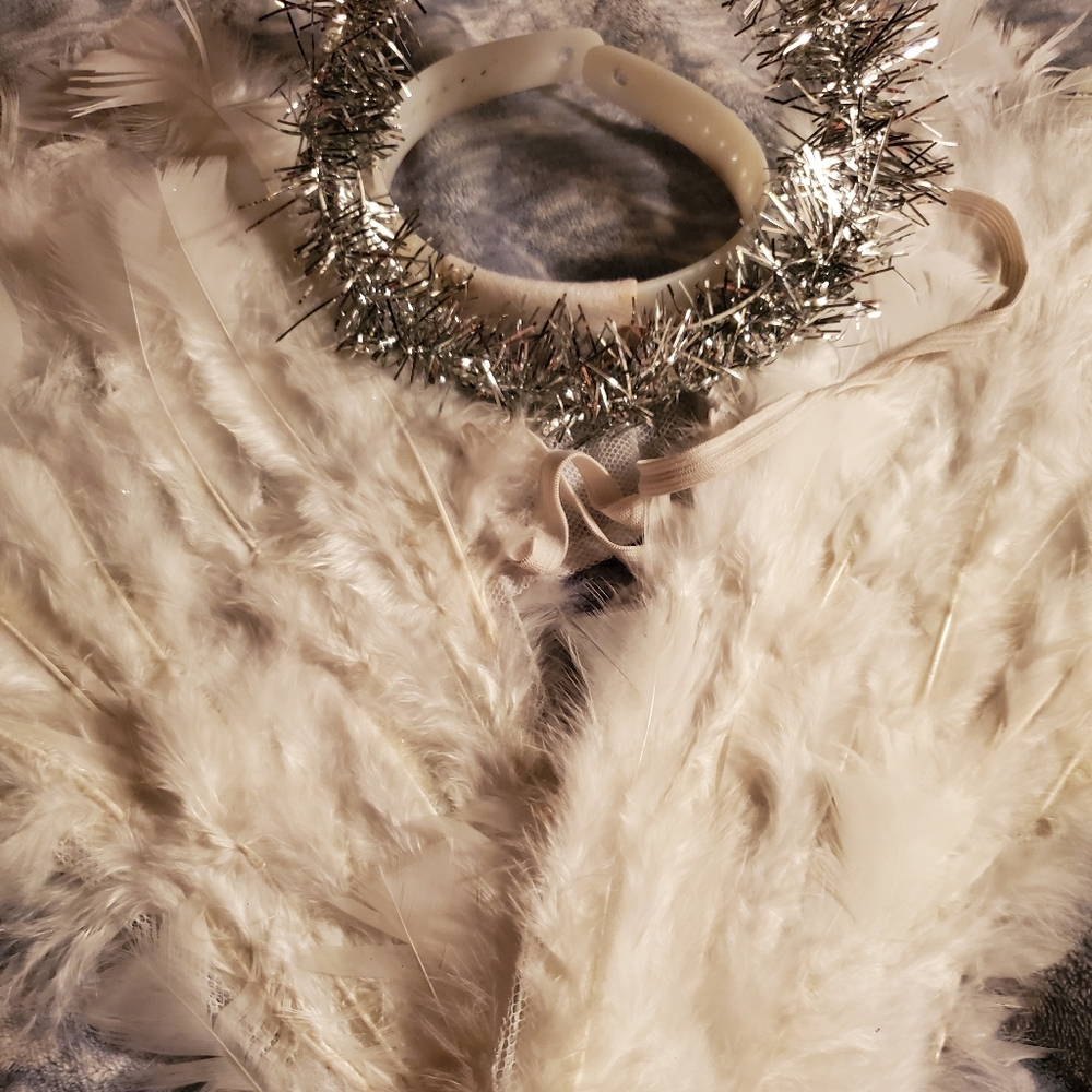 Angel Wings (real feathers) from Halloween Store in Hollywood!
